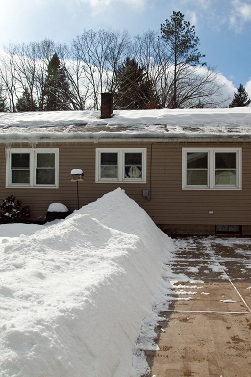 [back yard snow[2].jpg]