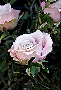 blog 14