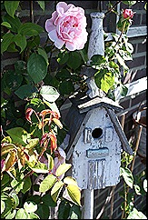 blog 5