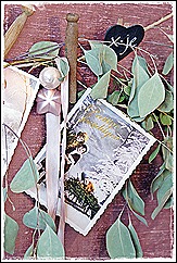 blog 8