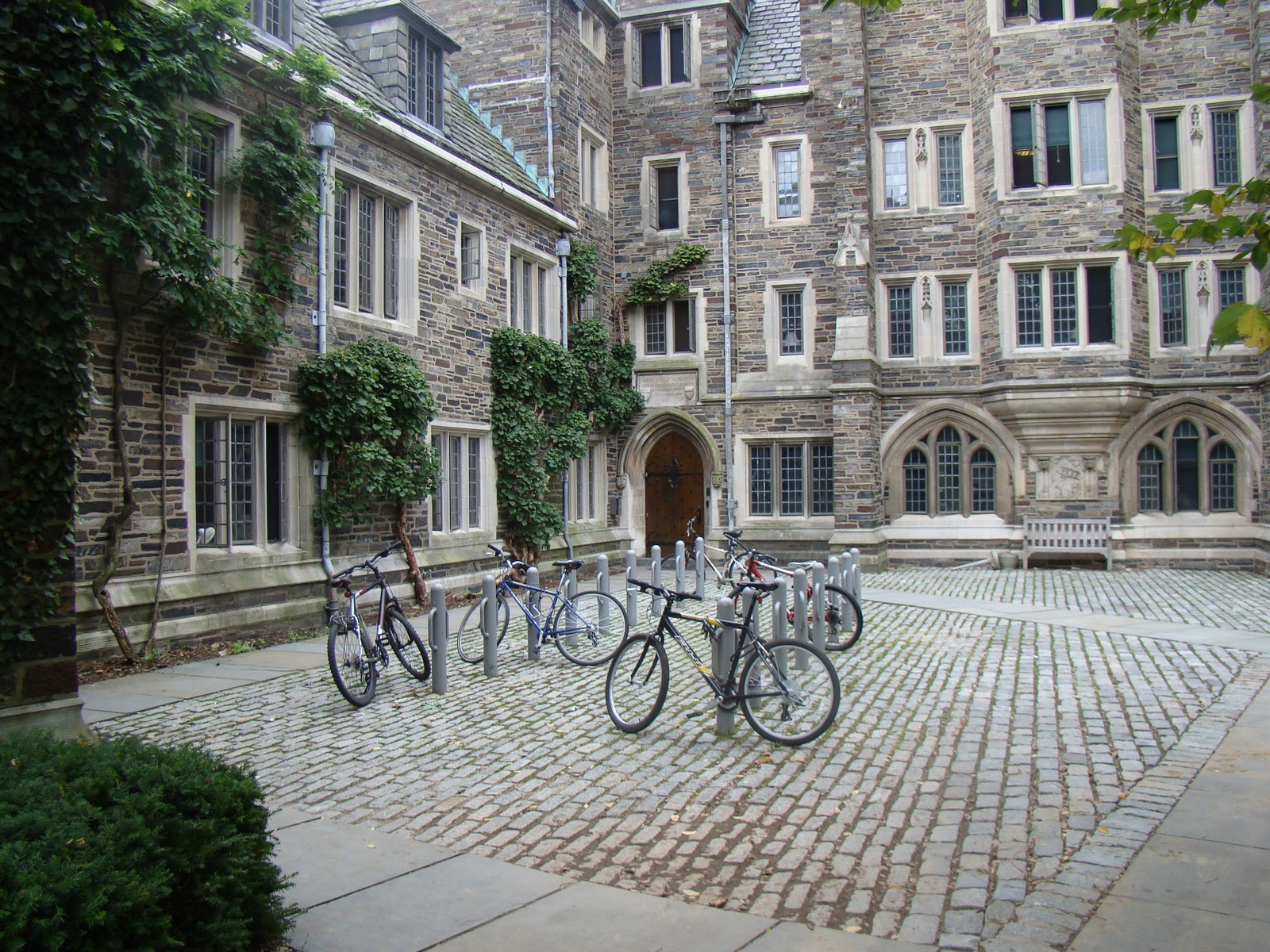 [DSC05325[2].jpg]