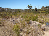 Landscape Photo