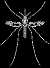 [image9.png]