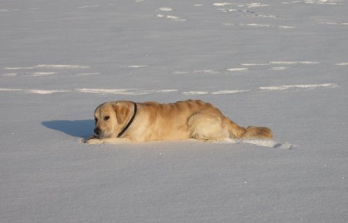 Р?Р·РѕР±СЂР°Р¶РµРЅРёРµ%20075.jpg