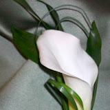100_0061.JPG