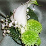 100_0060.JPG