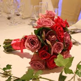 IMG_3006.JPG