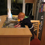 IMG_0351.JPG