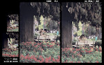 Praça da Liberdade. Inverno ou outono? Primavera talvez.