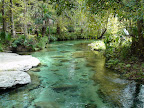 Apopka’s Kelly Park and Rock Springs