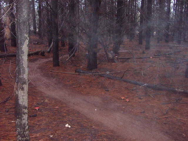 [P5280410[4].jpg]