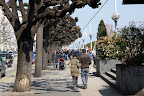 DSC01903.JPG