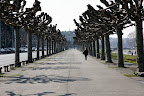 DSC01851.JPG