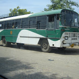 DSC09296.JPG