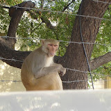 DSC09483.JPG