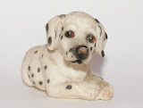 doggiefront.jpg
