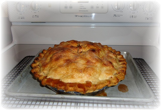 [Pie 6[4].jpg]