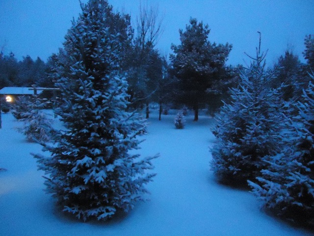 [Snow this morning[4].jpg]