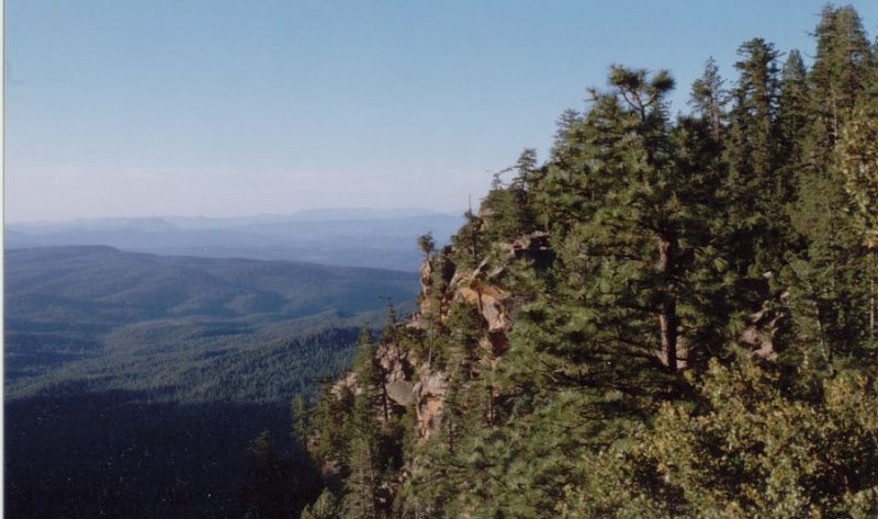 [Image: Rim%20View.jpg]