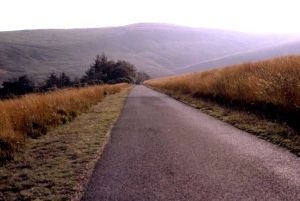 [road[8].jpg]