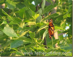 IMG_0310_640x480
