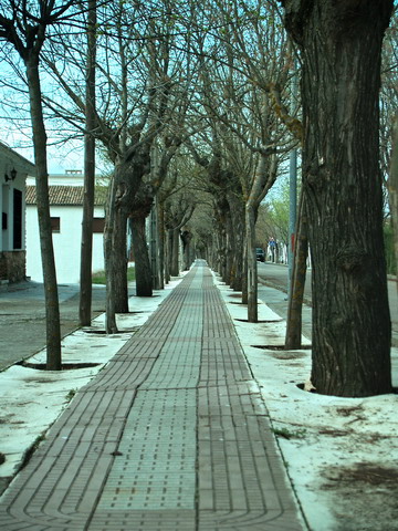 Paseo de la Estación en Noblejas Paseo de la Estación en Noblejas