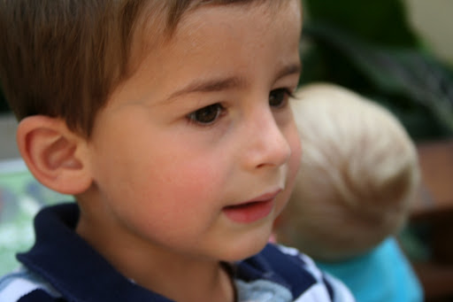 IMG_1230.JPG