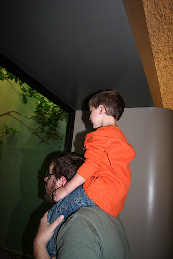 IMG_2008.JPG