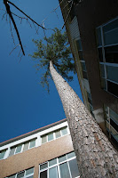 20071208_1709.JPG