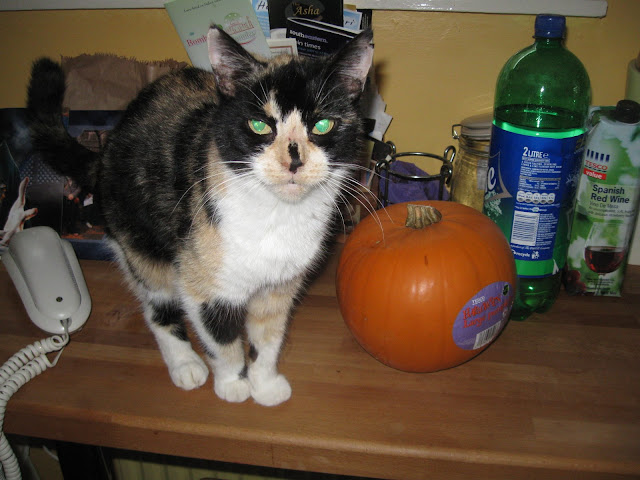 Ellie at Halloween
