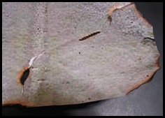 IMG_2621_edited-1