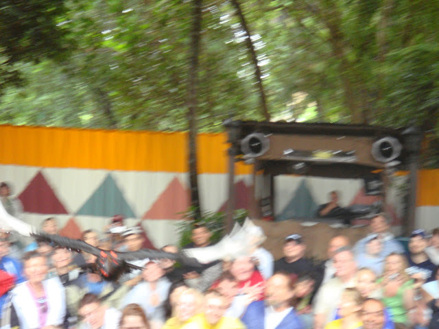 DSC00460.JPG