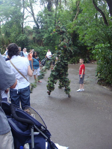 DSC00771.JPG