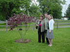 The Specchio Family with Emily's Tree