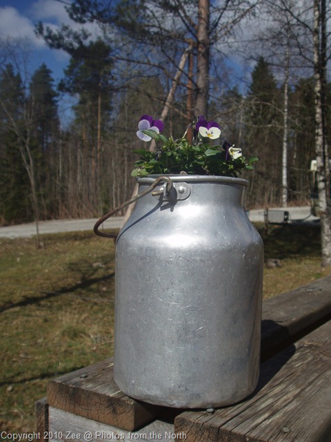 [Spring 2010 001[18].jpg]