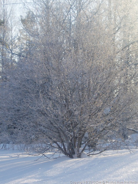 [winter '09-'10 009[7].jpg]