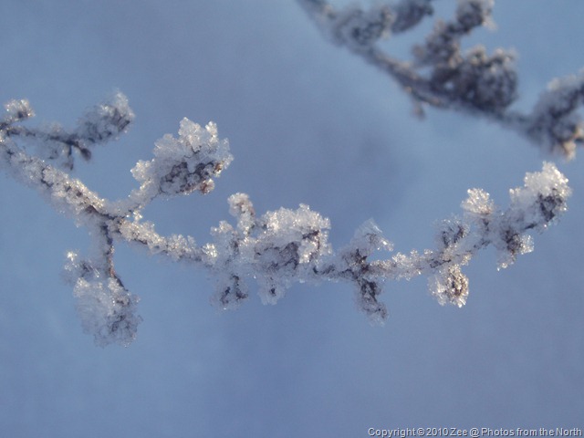 [winter '09-'10 006[6].jpg]