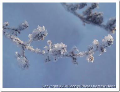 winter '09-'10 006