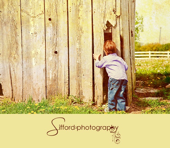 [LowSpring_2010-175texture[4].jpg]