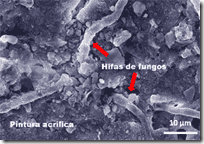 foto_dentro13835_1 foto_dentro13835_1