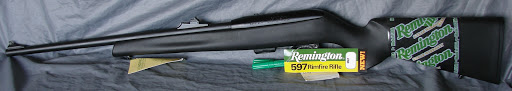 Remington+597+vtr+quad+rail
