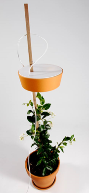 Cool Planter with Built In Lamp
