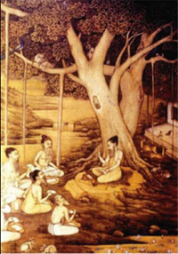 A Discourse under a Barh tree 