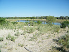 Going down the banks of the Thamalakane River, Maun.