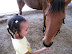 More horse pellets for Sammy.