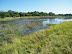 No particular photographic merit to this one - just water, blue sky and green grass.