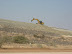 Komatsu PC300 working on the tailings' dam operated by Fraser Alexander.
