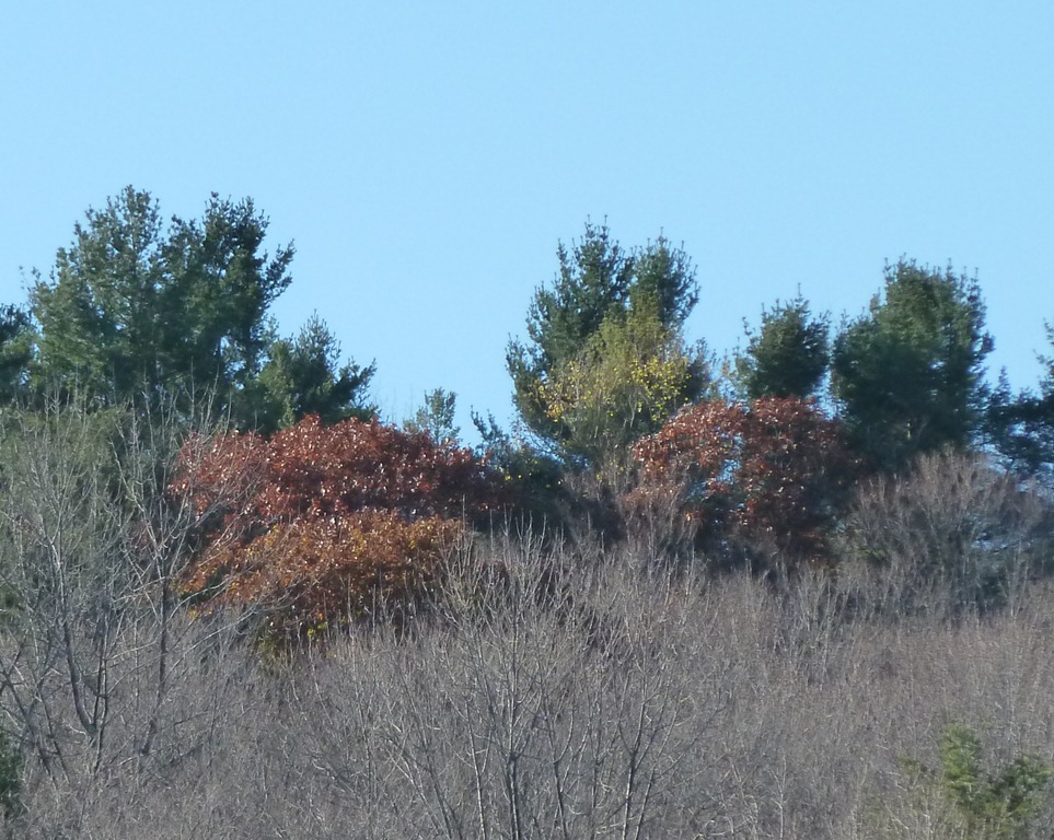 [P1020878[7].jpg]