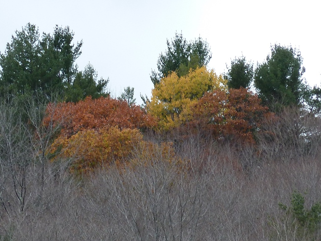 [P1020716[4].jpg]