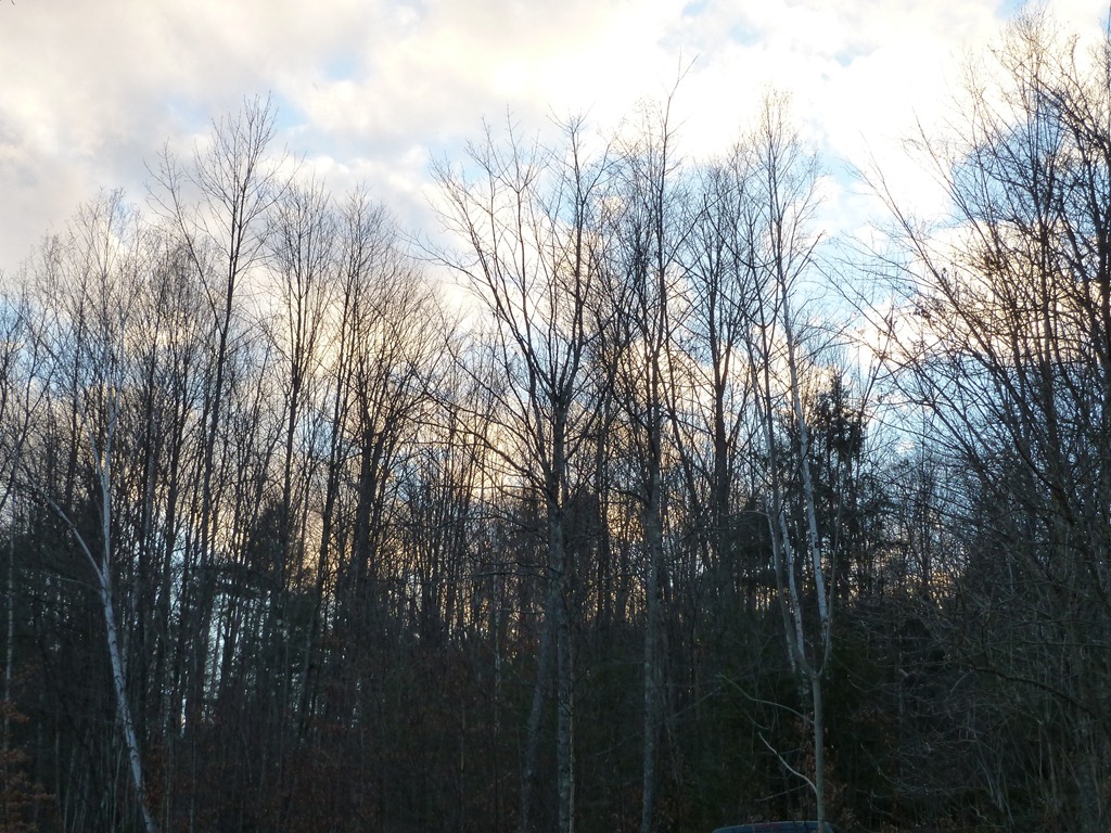 [P1030628[4].jpg]